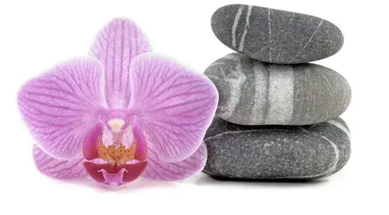 Flor de Lotus e Pedras de relaxamento